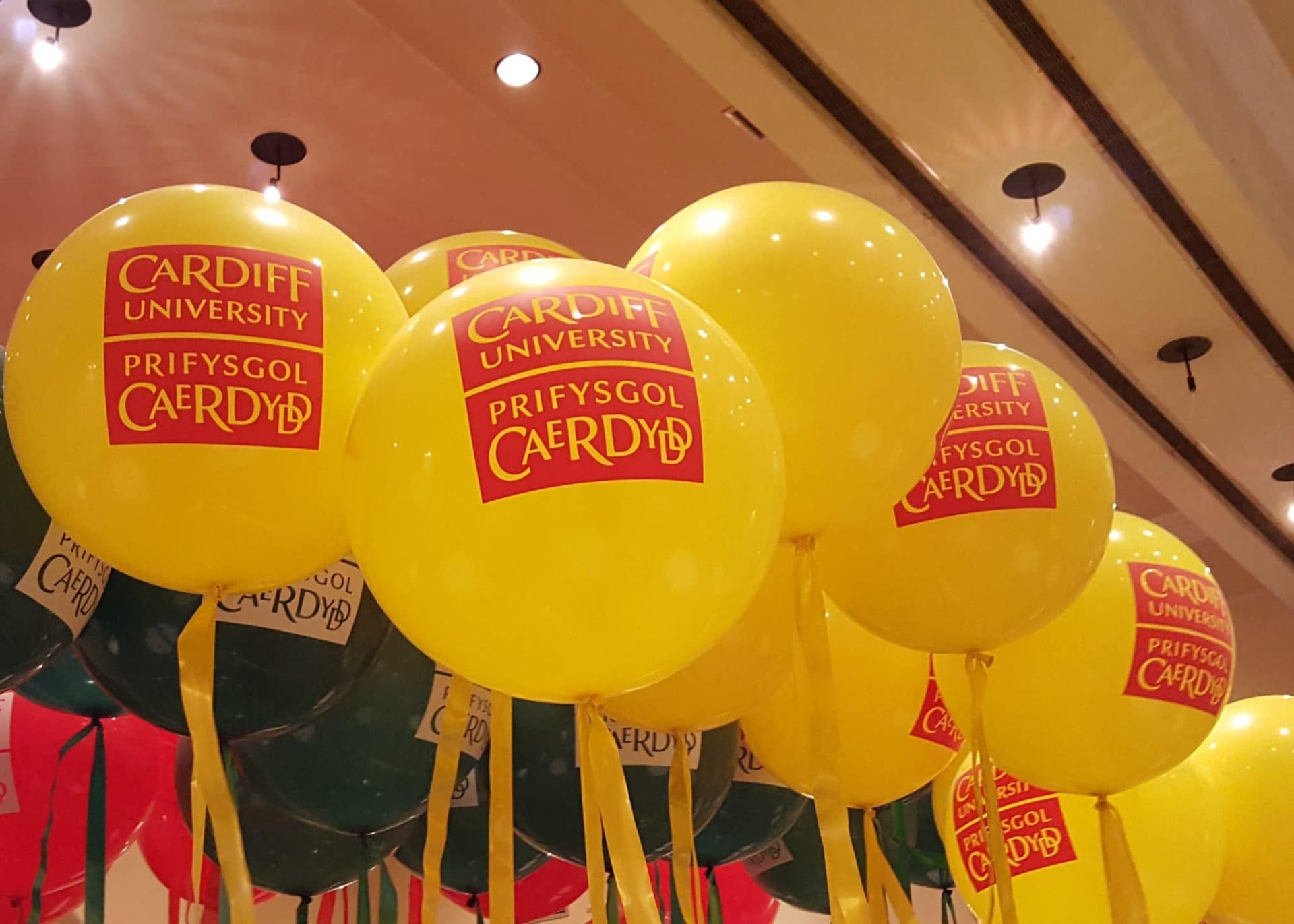 Werbeballons mit Logo: Günstige Preise &amp; Top-Service direkt vom Experten