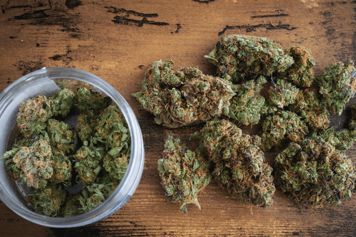 Von Autoflowers bis Photoperiodic – Weed Samen kaufen für jede Vorliebe