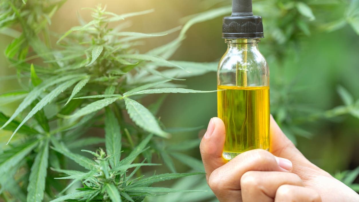Die Geschichte der Herstellung von Cannabis: Vom ersten Coffeeshop bis zum eigenen Öland