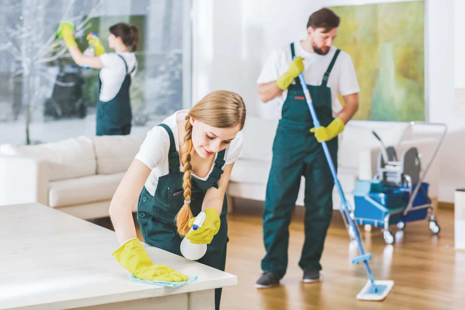 DISE Cleaning – Ihr Experte für Gebäudereinigung, Unterhaltsreinigung und Winterdienst
