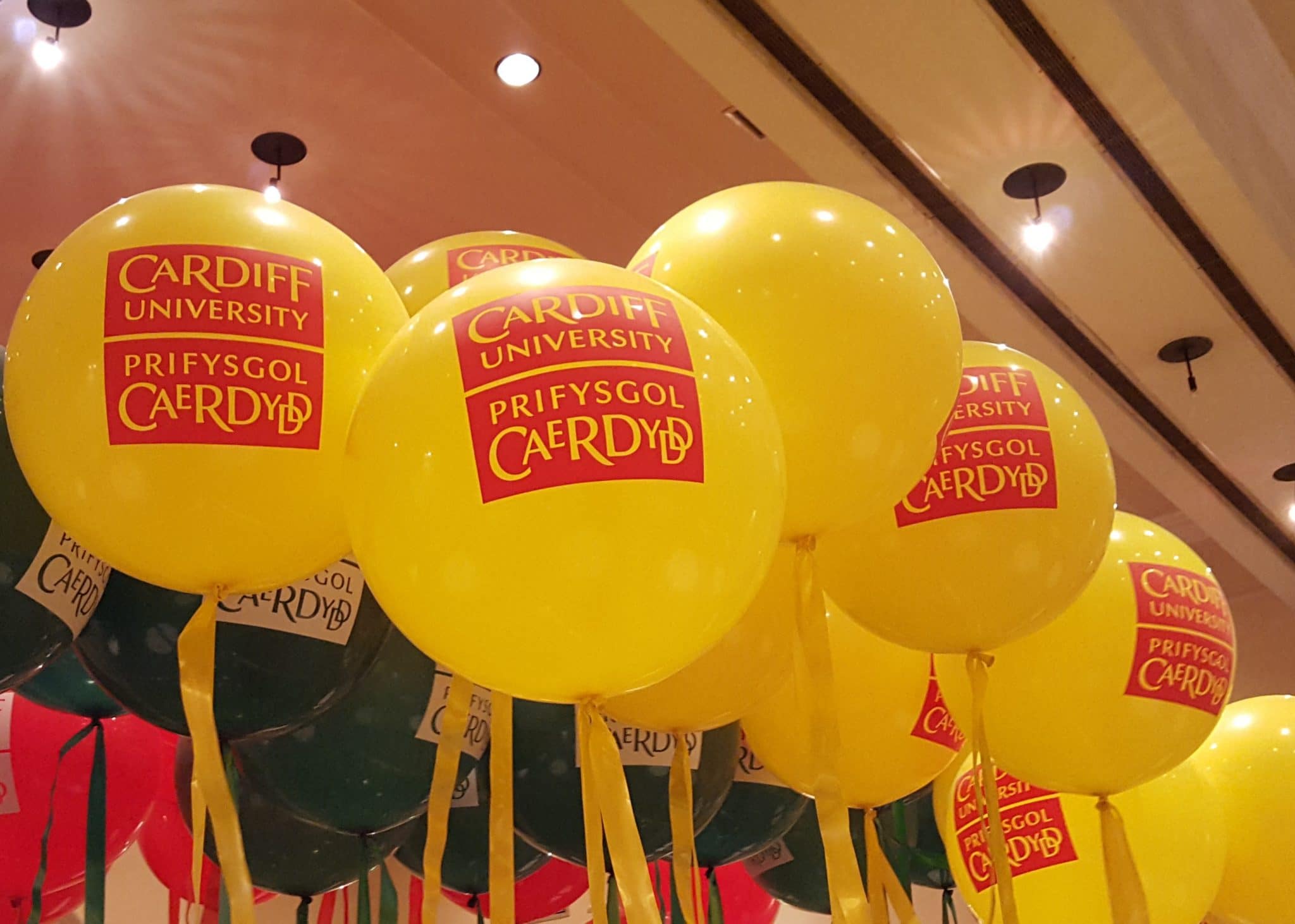 Werbeballons mit Logo: Günstige Preise &amp; Top-Service direkt vom Experten